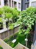 listing thumbnail image 16