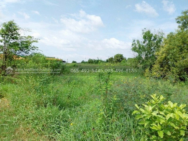 รูป ขายที่ดินเปล่า 110 ตรว. ซ.เลียบวารี31 หนองจอก เหมาะสร้างบ้านอยู่อาศัย ถนนปูนสาธารณะ หน้าหันทิศตะวันออก - รูปที่ 7/26