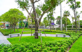 รูป The Plant Citi Bangna - Wongwaen - รูปที่ 4/13