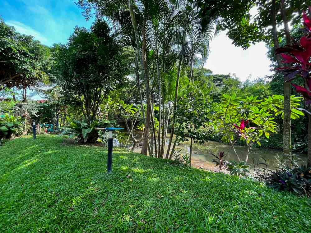 รูป โอกาสทอง! บ้านสวนริมน้ำสไตล์รีสอร์ทที่ดอยสะเก็ดเชียงใหม่  - รูปที่ 6/44
