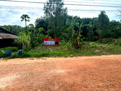 Land for sale : Beautiful Land Plot for Sale –Prime location close to the famous Hin Sam Whale viewpoint