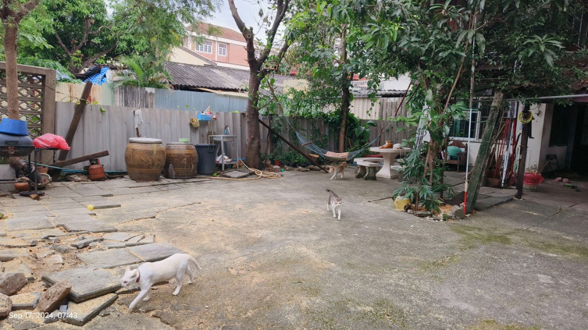 รูป ขายบ้านถนนลาดพร้าว41 ใกล้รถไฟฟ้าสายสีเหลือง - รูปที่ 22/23
