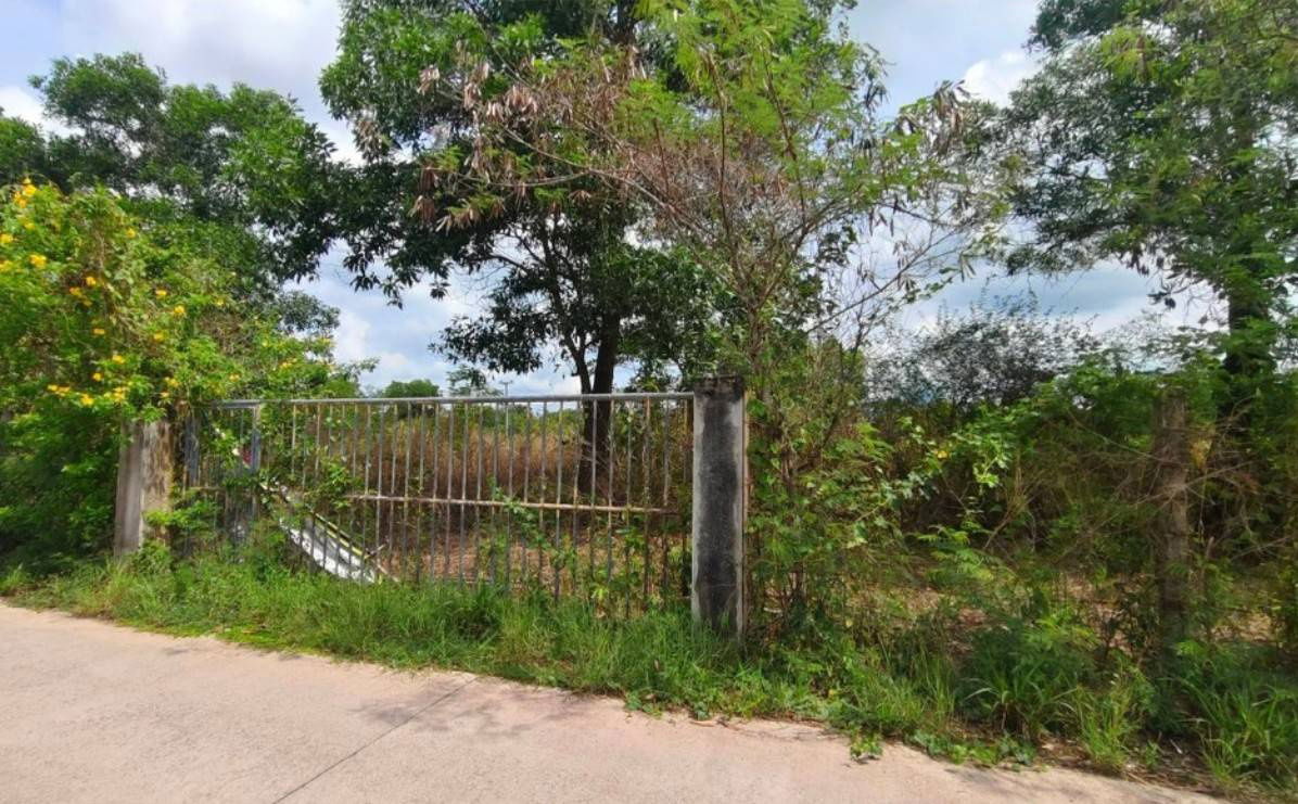 รูป ที่ดินสวย ใกล้ รร.นายร้อย จปร. เพียง 3.5 กม. เนื้อที่ 4ไร่ 2งาน 76ตร.วา ต.พรหมณี จ.นครนายก  วิวเขาชะโงก - รูปที่ 10/12