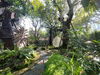 listing thumbnail image 25
