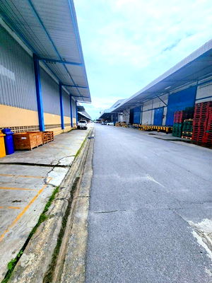 Factory for rent Bangkok-Chon Buri Motorway : Suvarnabhumi Airport 2.5km. Warehouse 2 Storeys for rent 800sq.m. ARL Lat Krabang 899km. 201 sq.wa.