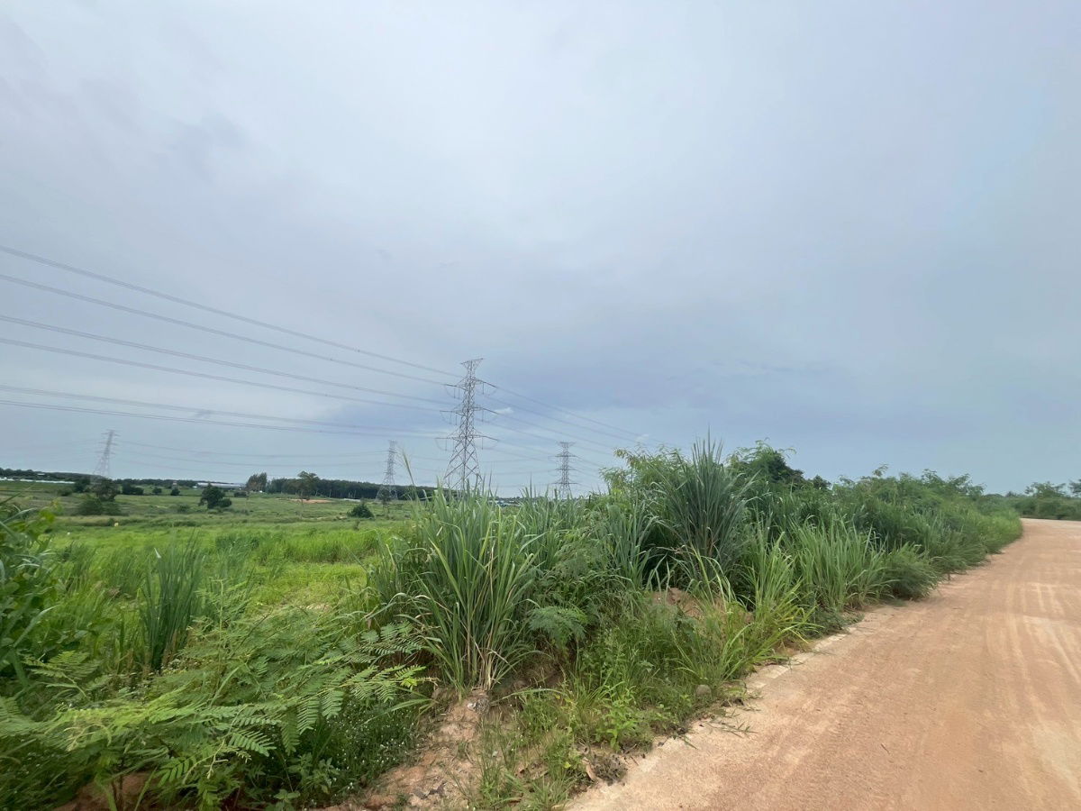 รูป ขายที่ดิน ผังสี ม่วงลาย ปลวกแดง ระยอง - รูปที่ 4/8