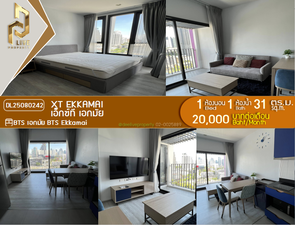 picture DL25080242 Condo for rent, XT EKKAMAI near BTS Ekkamai, ready to move in, call urgently 0656133286 LineID @655ebbvc - 1/12