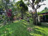 listing thumbnail image 16
