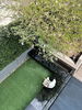 listing thumbnail image 18