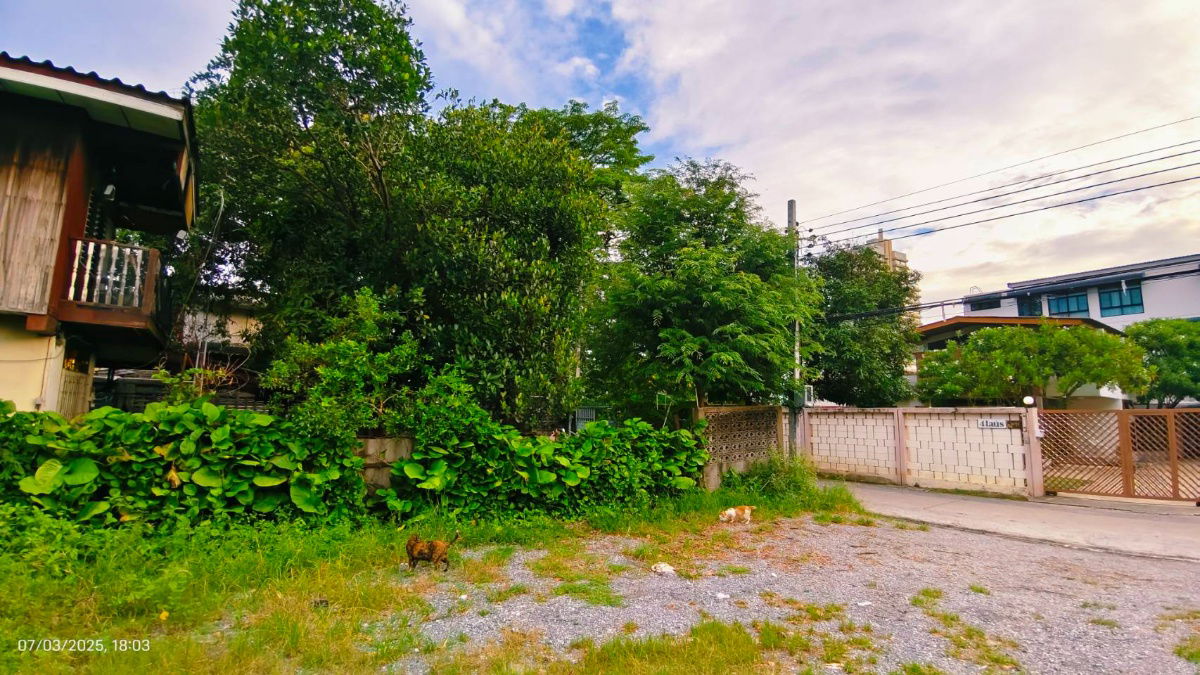 รูป ขายบ้านถนนลาดพร้าว41 ใกล้รถไฟฟ้าสายสีเหลือง - รูปที่ 9/23