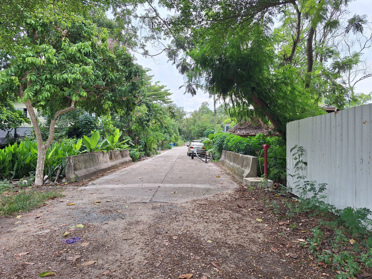 รูป ขายที่ดินเปล่า 100ตร.ว. ซอยคลองสาม8/2(2)(ม.ตะวันทอง) ถ.เลียบคลองสาม ต.คลองสาม อ.คลองหลวง จ.ปทุมธานี ขายต่ำกว่าประเมิน - รูปที่ 3/6