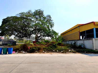 ที่ดิน รังสิต คลองหนึ่ง : ที่ดิน ใกล้ตลาดไท ทำเลดี 200 ตร.วา ซอยเทพกุญชร 7  และเพียง 1 กม.จากถนนคลองหลวง 