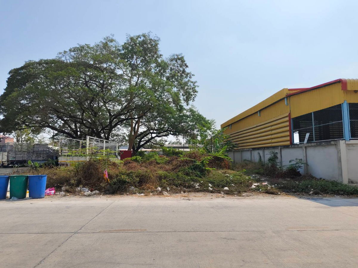 รูป ที่ดิน ใกล้ตลาดไท ทำเลดี 200 ตร.วา ซอยเทพกุญชร 7  และเพียง 1 กม.จากถนนคลองหลวง  - รูปที่ 1/8