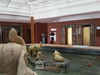 listing thumbnail image 22