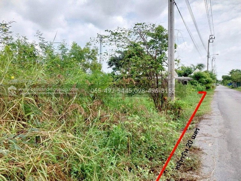รูป ขายที่ดินเปล่า 110 ตรว. ซ.เลียบวารี31 หนองจอก เหมาะสร้างบ้านอยู่อาศัย ถนนปูนสาธารณะ หน้าหันทิศตะวันออก - รูปที่ 6/26