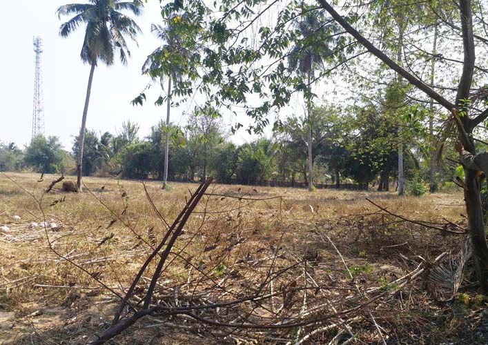 รูป L-122 : ที่ดิน 7-3-88 ไร่ ทางหลวงหมายเลข 7 (ชลบุรี-พัทยา) ใกล้กับ สนง. ที่ดินศรีราชา - รูปที่ 11/13