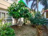 listing thumbnail image 35