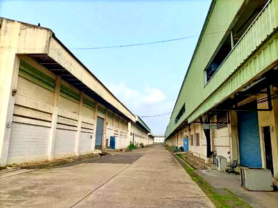 โรงงาน ปทุมธานี : ขายโรงงาน 48 ไร่ ถนนปทุมธานี-บางเลน ลาดหลุมแก้ว ปทุมธานี BRE24118