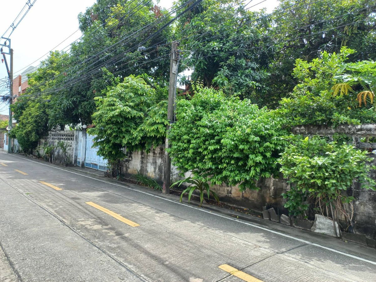 รูป ที่ดินหน้ากว้าง ทำเลสวย หนึ่งในทำเลทองหายาก ซอย ลาดพร้าว 35 พื้นที่ 213 ตรว. (เจ้าของขายเอง ที่ดินไม่ติดจำนอง ) - รูปที่ 4/12