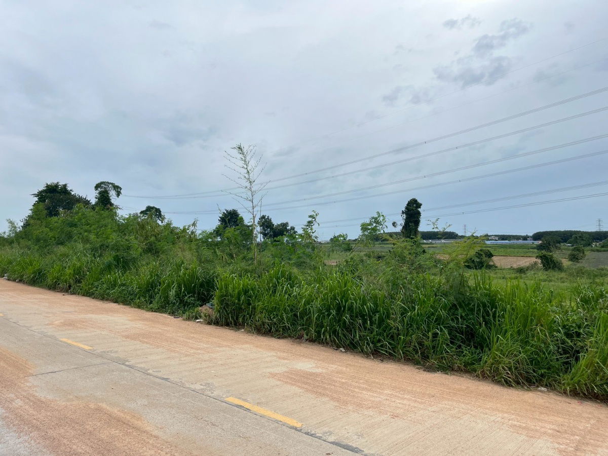 รูป ขายที่ดิน ผังสี ม่วงลาย ปลวกแดง ระยอง - รูปที่ 8/8