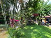 listing thumbnail image 33
