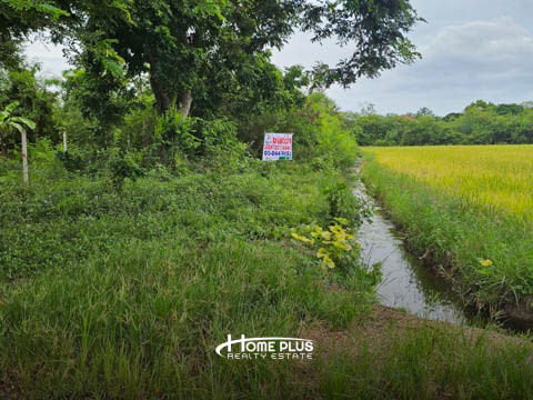 รูป ที่ดินในถนนสหพร ใกล้มหาวิทยาลัยราชภัฏสวนสุนันทา นครปฐม เนื้อที่ 399 ตารางวา - รูปที่ 2/14