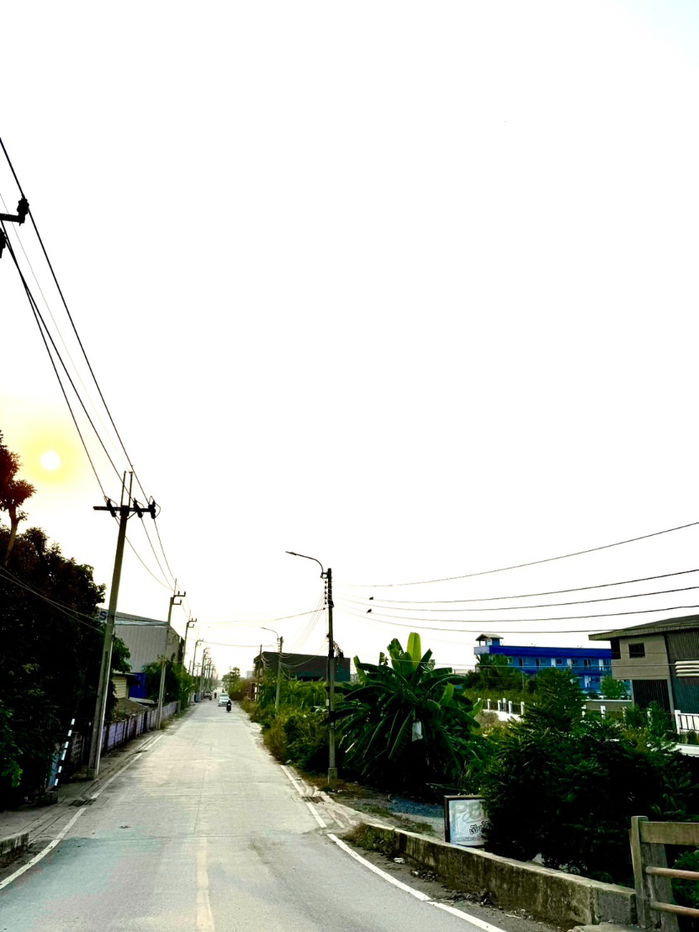 รูป ที่ดิน 200 ตารางวา หน้ากว้าง ใกล้โรงพยาบาล ตลาดสด สนามบิน มหาวิทยาลัย รถไฟฟ้า ถนนตัดใหม่กรุงเทพกรีฑา หน้ากว้าง ใกล้คอมมูนิตี้มอลล์ จุดขึ้นลงทางด่วน - รูปที่ 6/16