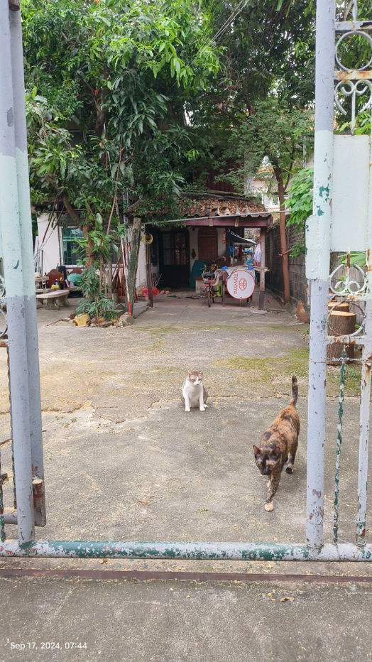 รูป ขายบ้านถนนลาดพร้าว41 ใกล้รถไฟฟ้าสายสีเหลือง - รูปที่ 23/23