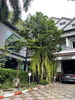 listing thumbnail image 28