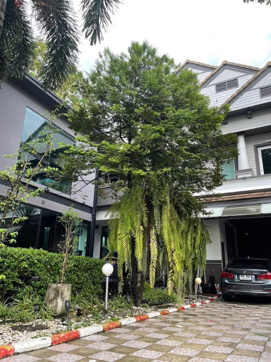 picture 🟢For Sale🟢Luxury detached house for sale in Phatthanakan 30, excellent location, spacious area, 📱ADD LINE @nathong97 (Reply ⚡ 24 Hr) P880 - 29/38