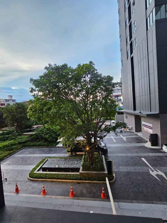 picture For Sale: Modiz Sukhumvit 50 — Prime Location, Onnut – Sukhumvit 50 - 10/12