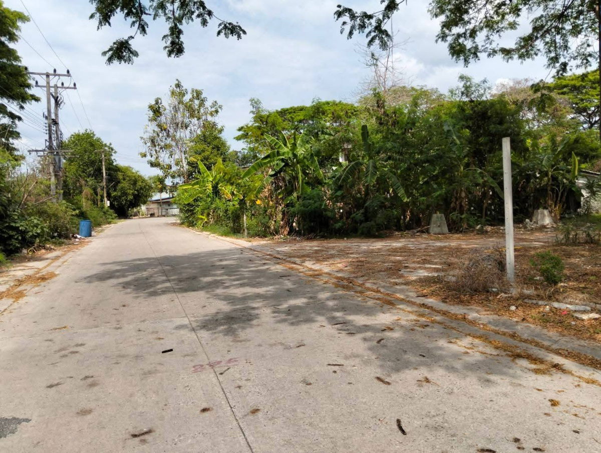 รูป ที่ดิน 2 ไร่ 3 งาน ตัวเมืองระยอง ใกล้สุขุมวิท 250 เมตร ตรว.ละ 15,000 - รูปที่ 2/5