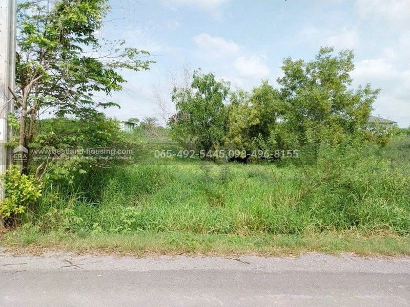 รูป ขายที่ดินเปล่า 110 ตรว. ซ.เลียบวารี31 หนองจอก เหมาะสร้างบ้านอยู่อาศัย ถนนปูนสาธารณะ หน้าหันทิศตะวันออก - รูปที่ 11/26