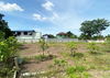 listing thumbnail image 13