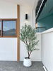 listing thumbnail image 13