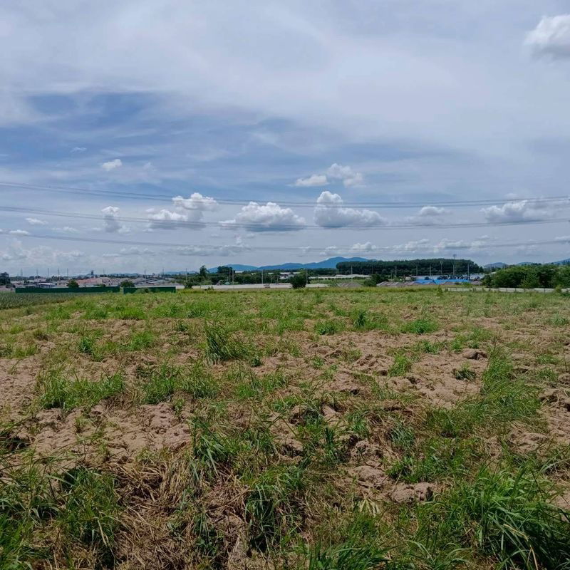 picture Land for sale in Map Yang Phon, Plaeng Daeng, Rayong. Beautiful plot, good price. - 2/8