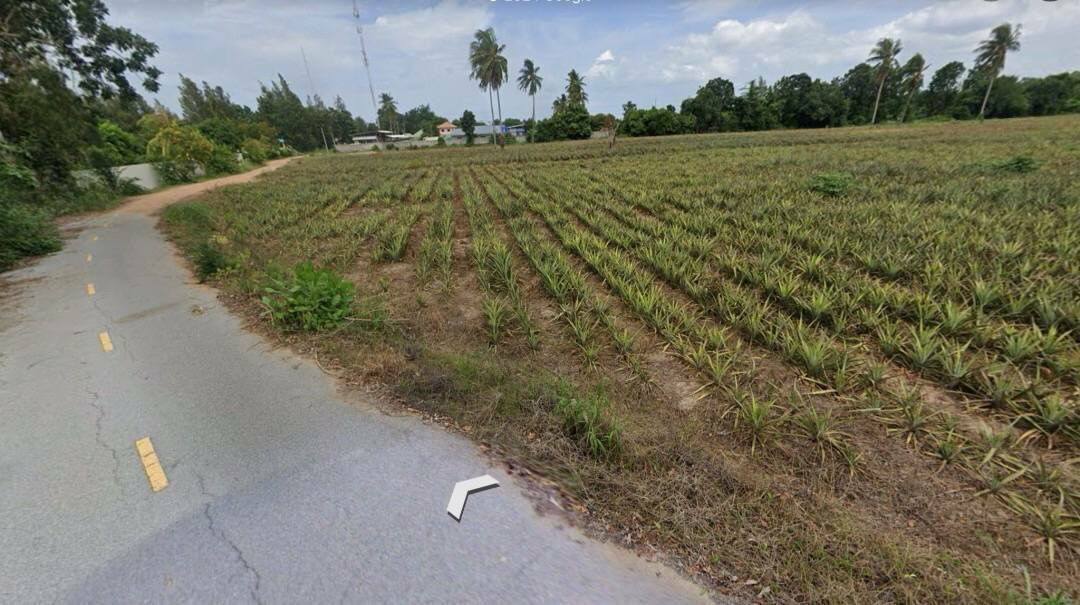 picture Land for sale in Cha-Am-Pranburi Road, Sam Phraya , Cha-Am , Petchburi, 350M.  from Petchkasem-Bypass Road, 9 Rai 2 ngan 98 square wah, price12.5 MB.* - 5/9