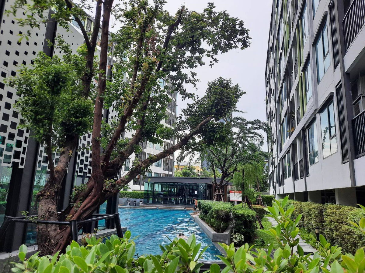 รูป ขาย!! The Niche Mono Sukhumvit 50 ขนาด 29 ตรม. ราคา 2.59 ล้านบาท พร้อมเฟอร์และเครื่องใช้ไฟฟ้า  - รูปที่ 8/11