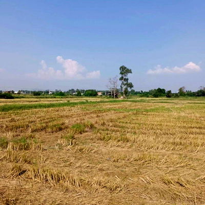Land for sale Pinthong Industrial Estate : Land for sale in Bueng Sriracha, beautiful plot, good location, orange area
