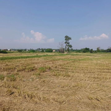 Land for sale in Bueng Sriracha, beautiful plot, good location, orange area
