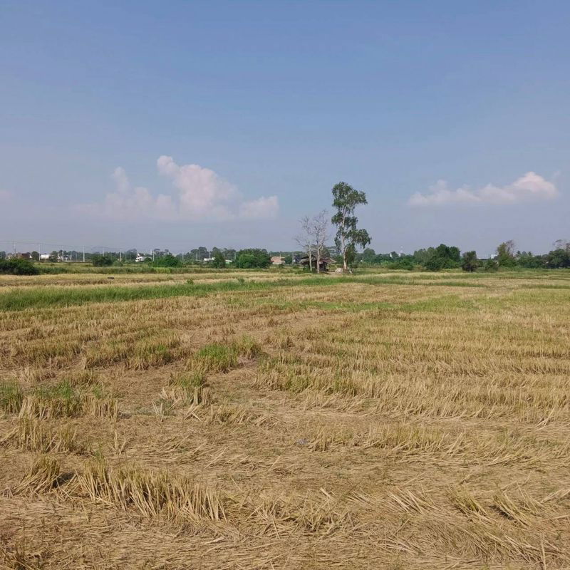 picture Land for sale in Bueng Sriracha, beautiful plot, good location, orange area - 1/7
