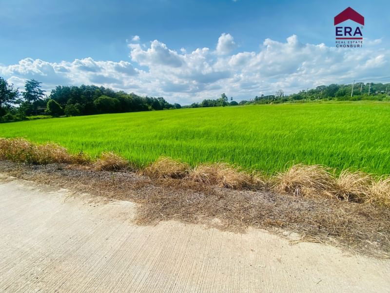 รูป ขายที่ดินเปล่าแปลงใหญ่ ติดถนนหลัก ใกล้ถนนมิตรภาพ โคราช 4 ไร่ 48.3 ตรว. - รูปที่ 7/12