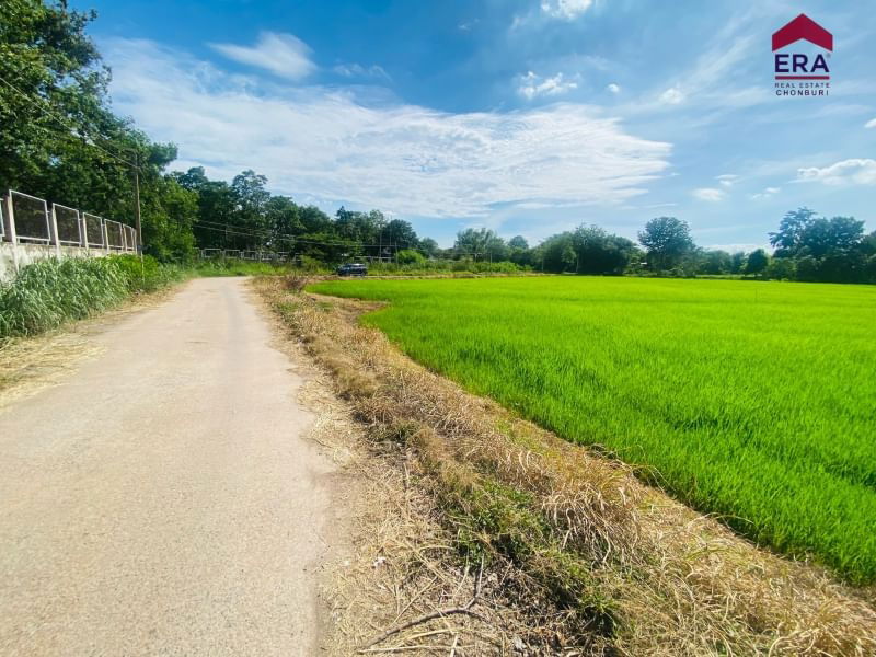 รูป ขายที่ดินเปล่าแปลงใหญ่ ติดถนนหลัก ใกล้ถนนมิตรภาพ โคราช 4 ไร่ 48.3 ตรว. - รูปที่ 8/12