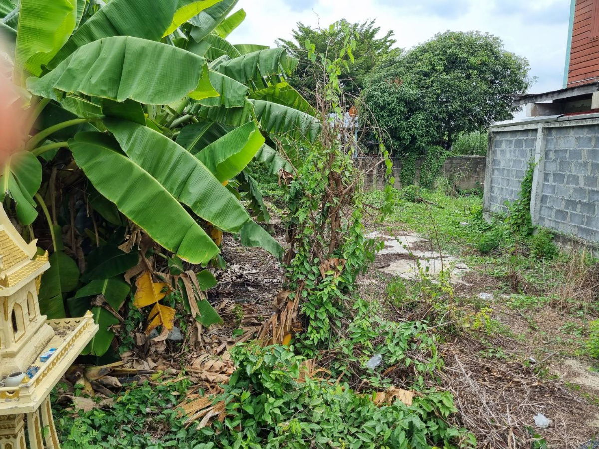 picture For Sale Vacant land Soi Sala Thammasop 13, Intersection 1, near Borommaratchachonnani Road - 6/13