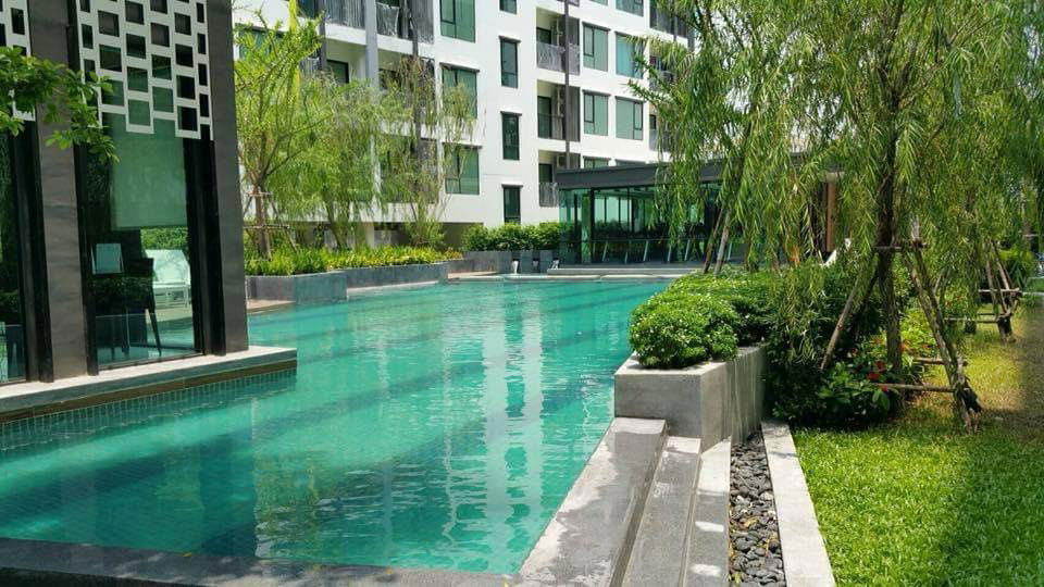 รูป ขาย!! The Niche Mono Sukhumvit 50 ขนาด 29 ตรม. ราคา 2.59 ล้านบาท พร้อมเฟอร์และเครื่องใช้ไฟฟ้า  - รูปที่ 11/11