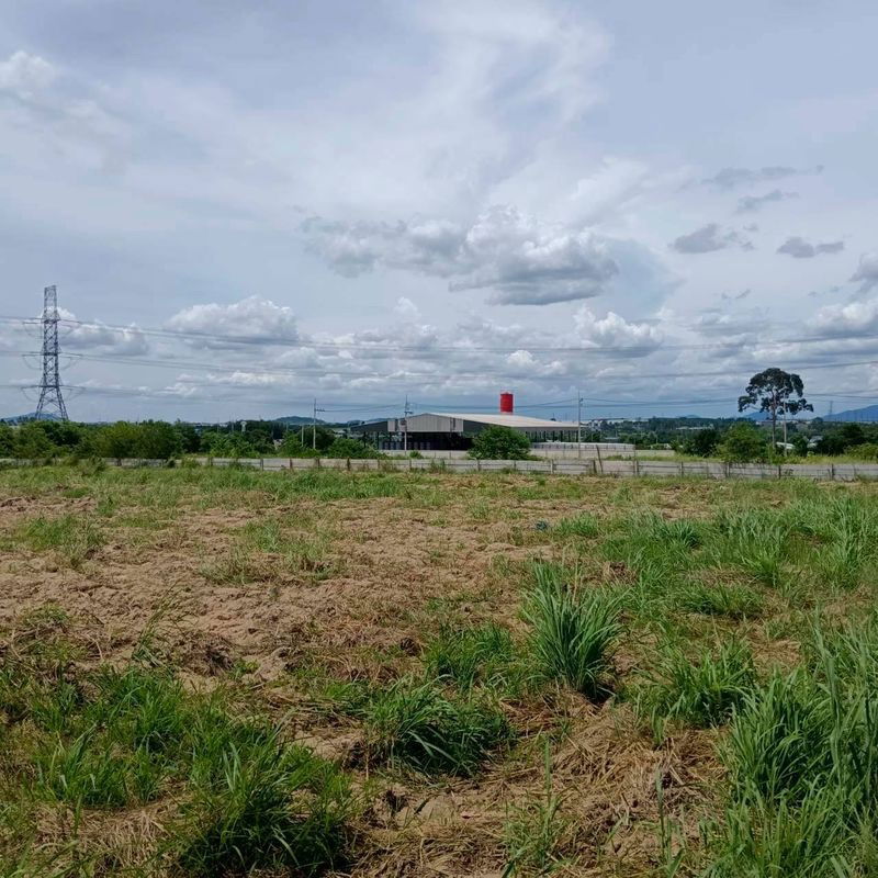 picture Land for sale in Map Yang Phon, Plaeng Daeng, Rayong. Beautiful plot, good price. - 3/8