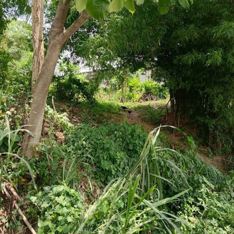 picture Beautiful land plot for sale, good location, Map Yang Phon, Pluak Daeng, Rayong - 2/5