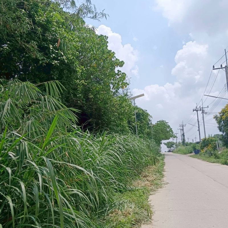 picture Beautiful land plot for sale, good location, Map Yang Phon, Pluak Daeng, Rayong - 3/5