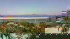 listing thumbnail image 50