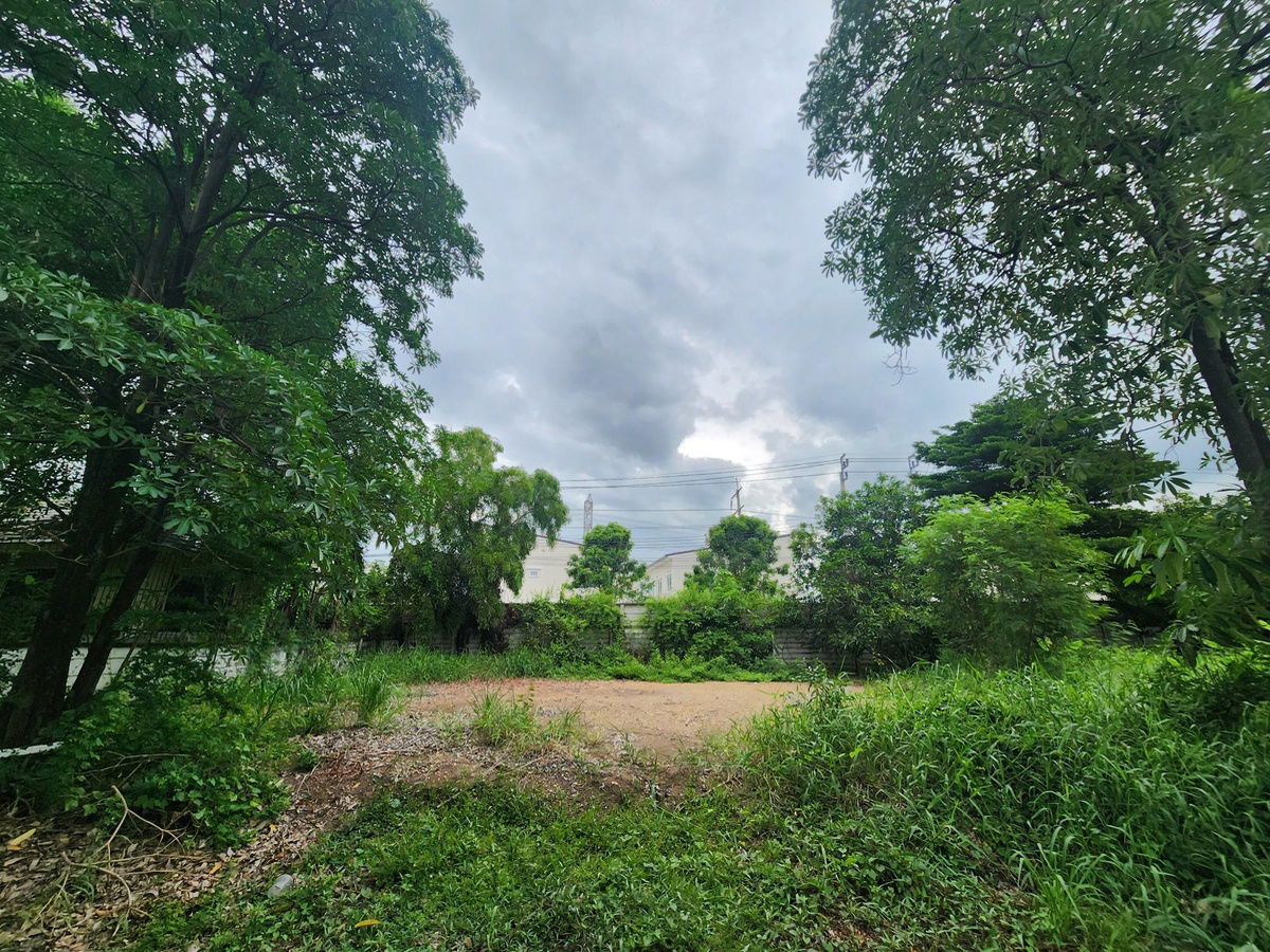รูป ขายที่ดิน 68 ตรว. ในหมู่บ้าน Neo City ดอนเมือง กรุงเทพฯ เจ้าของขายเอง - รูปที่ 3/7